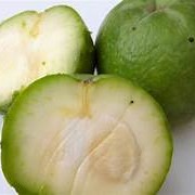 White Sapote
